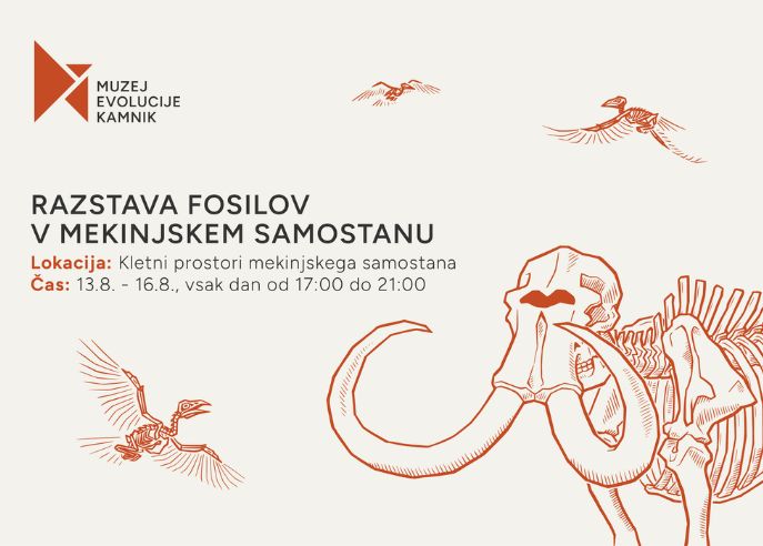 Razstava fosilov.jpg
