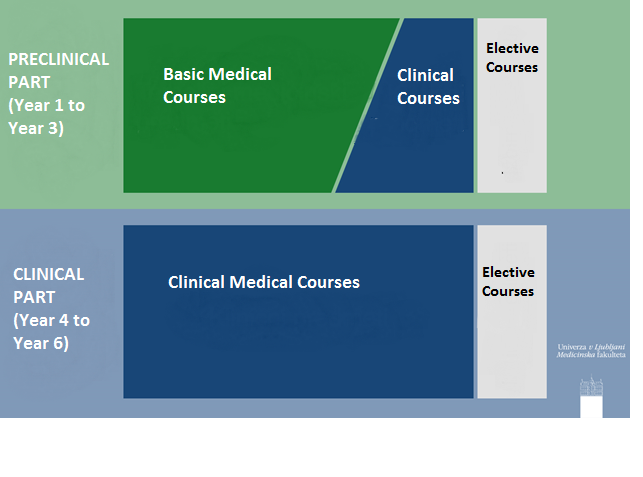 Curriculum.Medicina.png