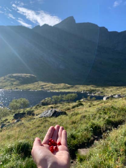 NORVEŠKA - Tromso.Katja7.jpg