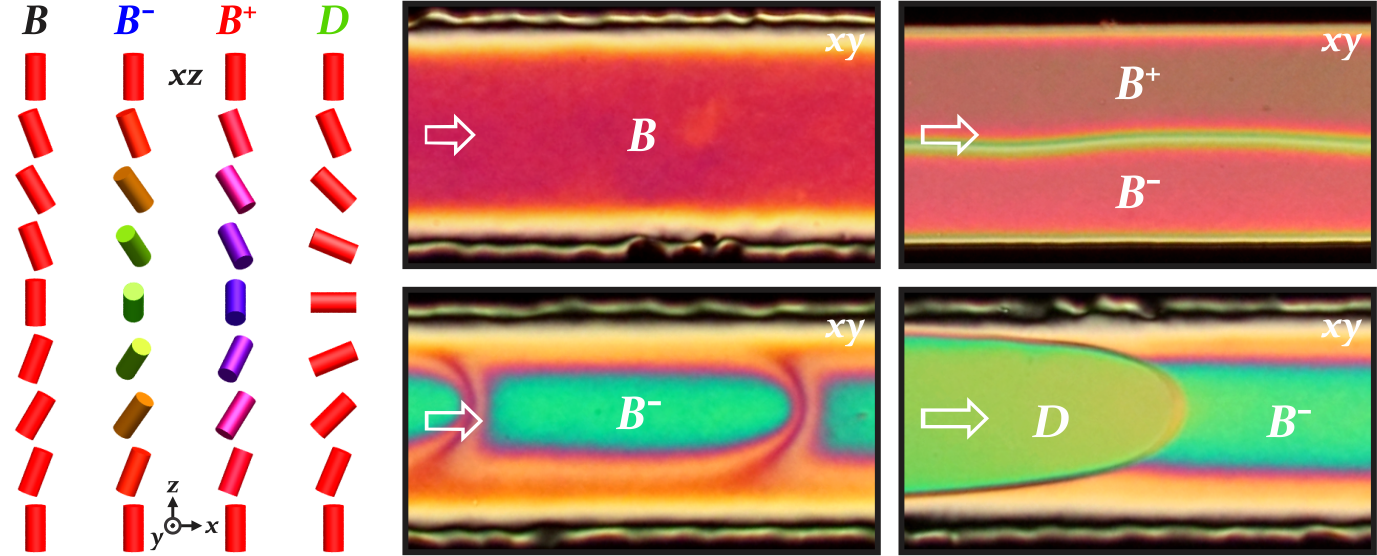 NComms_2020 (002).png