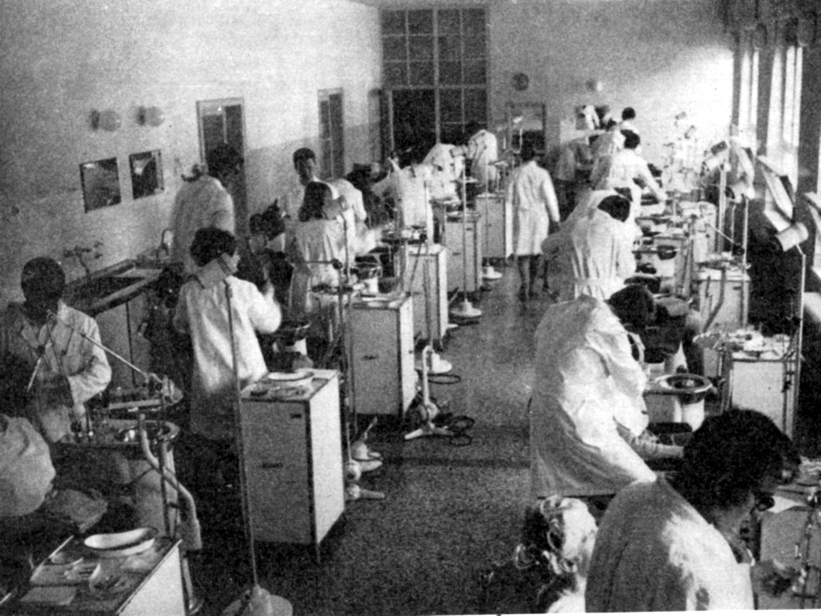 05_vaje stoma večja.jpg