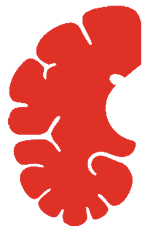 brain-logo-Lara.png