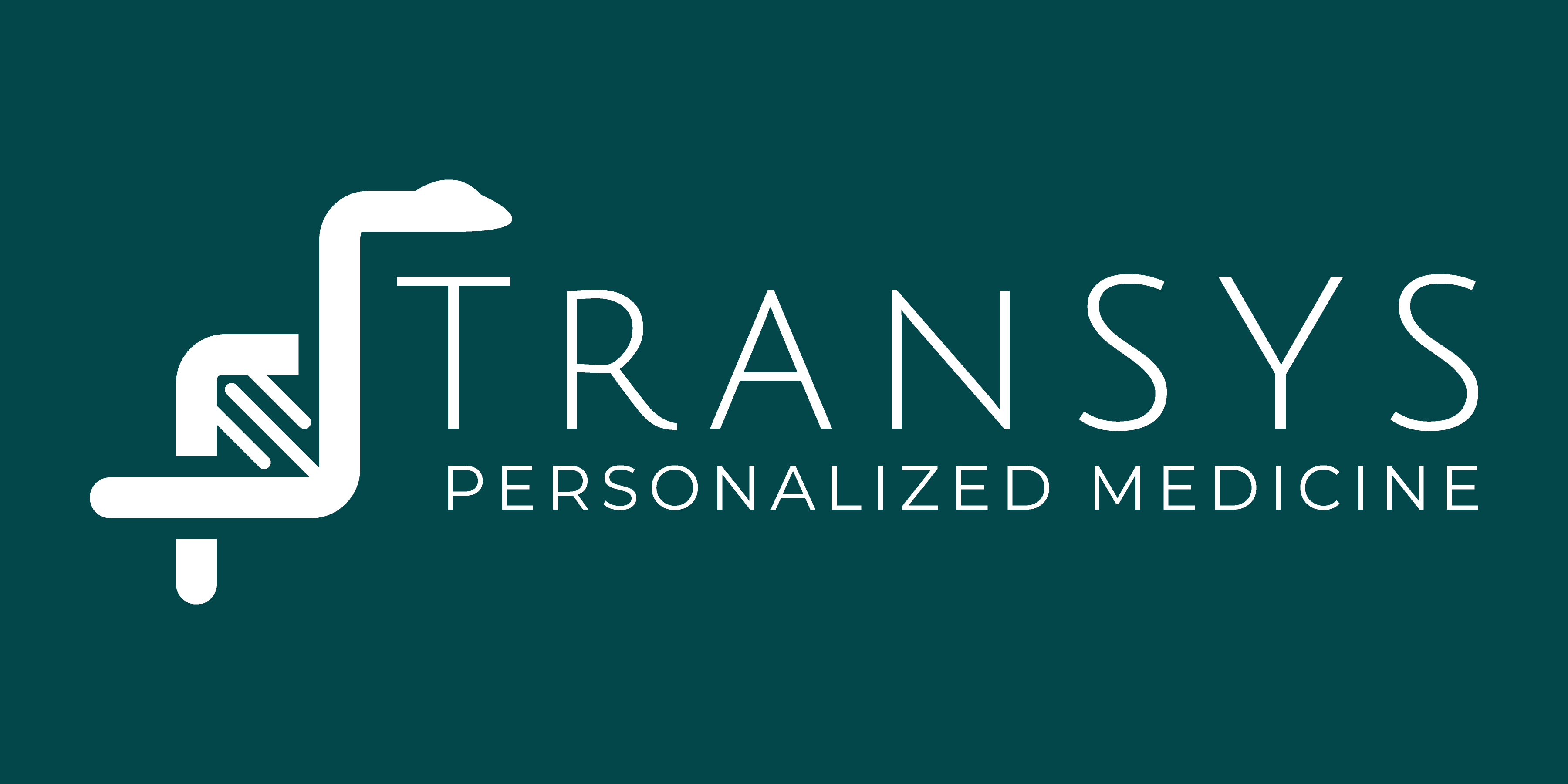 logo_transysDark.png