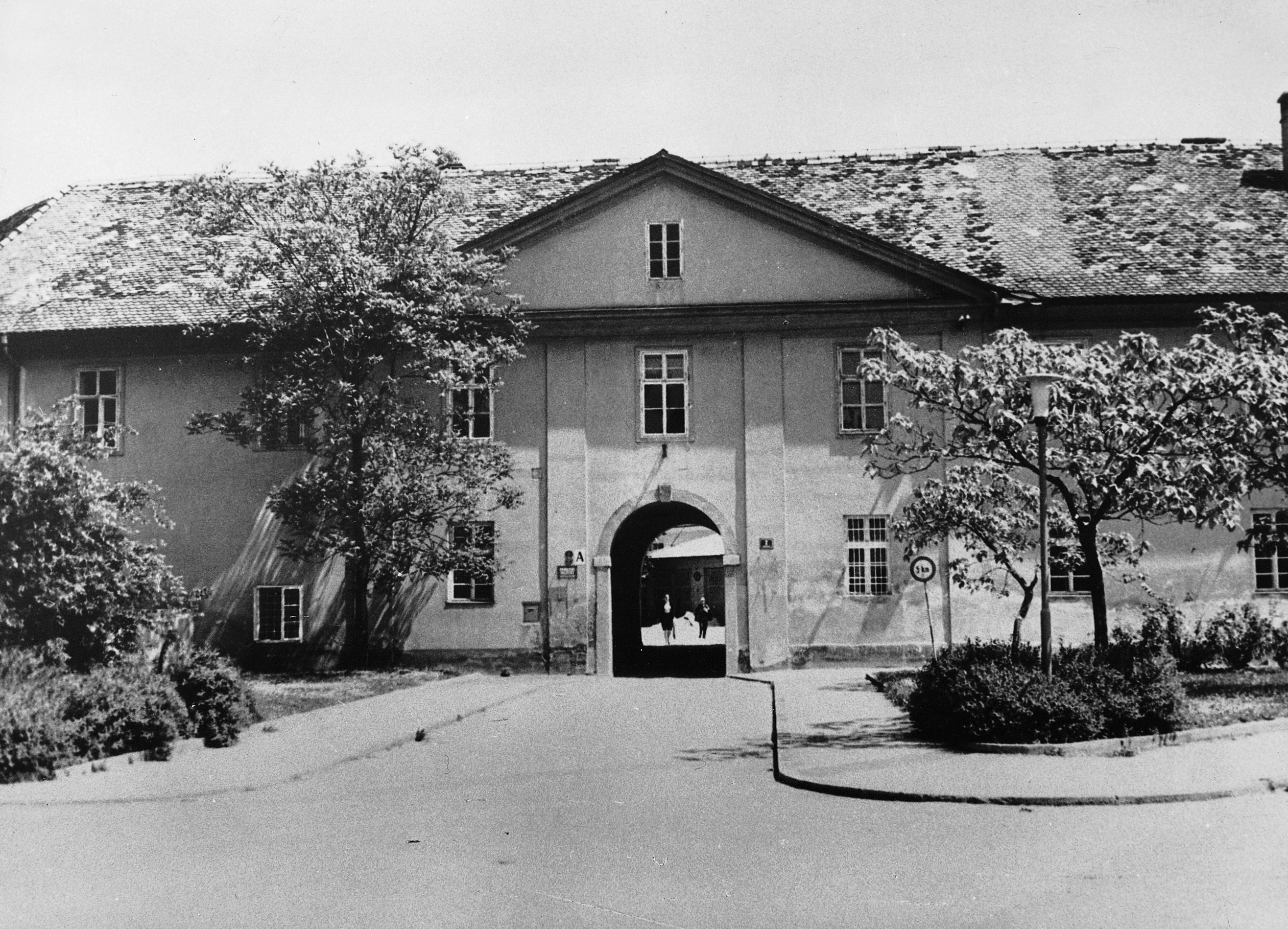 02_Sempetrska_MF velika foto.jpg