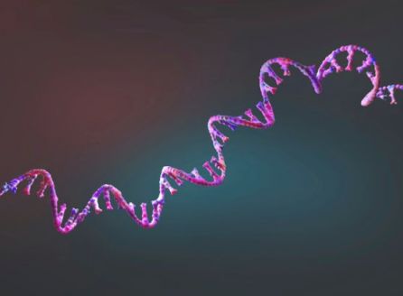 Slovenski genom &ndash; od podatkov do na&scaron;e skupne dedi&scaron;čine