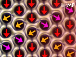 Objava dr. Uroša Tkalca in sodelavcev v ugledni reviji Nature Physics