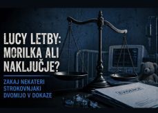 Predavanje prof. dr. John O'Quigley: Primer medicinske sestre Lucy Letby - ko statistika postane dokaz