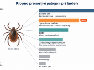 Na IMI UL MF odkrili pomembno povzročiteljico nepojasnjenega vročinskega stanja pri odraslih