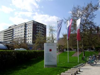 Seznam rednih profesorjev, izvoljenih na Senatu UL v letu 2023