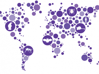 4. INTERACADEMIC SCIENTIFIC SYMPOSIUM »Emerging zoonoses –  continuous challenge«