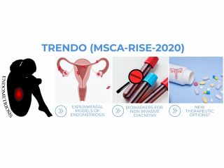 New Possibilities for Diagnosis and Treatment of Endometriosis
