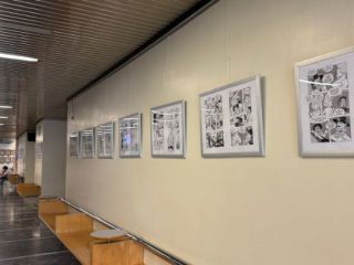 Priložnost za sodelovanje pri urejanju Galerije Medicinske fakultete UL