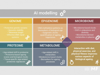 Raziskovalci UL Medicinske fakultete v sodelovanju z drugimi članicami Univerze v Ljubljani objavili pregledni članek o zdravemu staranju
