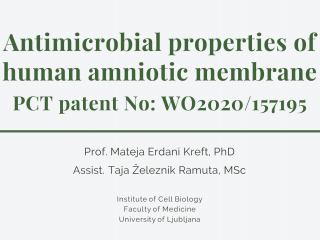 The procedure for the preparation of an amniotic membrane homogenate protected by international patent