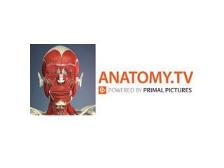 Testni dostop do platforme Primal Pictures