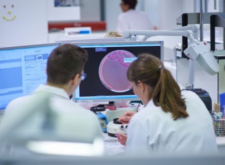 Call to tender for young researchers in 2026