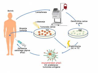 Med najodličnejšimi raziskovalnimi dosežki Univerze v Ljubljani v letu 2021 tudi dosežek raziskovalcev UL MF - nosilec raziskovalnega dosežka akad. prof. dr. Robert Zorec