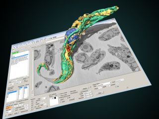 Vabilo na predavanji o 3D elektronski mikroskopiji gostujočih raziskovalcev z Univerze v Helsinkih