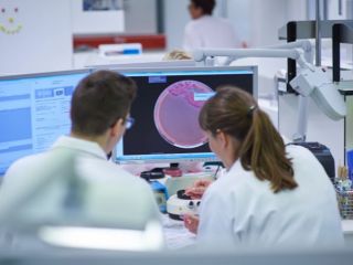 Call to tender for young researchers in 2026