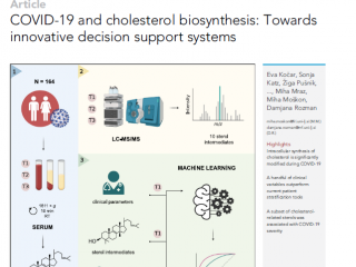COVID-19 and cholesterol biosynthesis: Towards innovative decision support systems