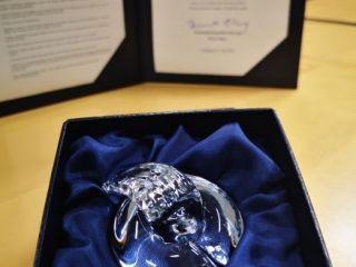 Government coronavirus call centre will be awarded the »Apple of Inspiration«