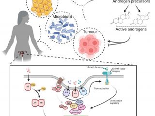 Article published in the prestigious journal: Trends in Endocrinology and Metabolism