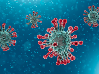 Model testiranja cepiva proti bolezni covid-19