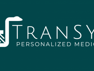 The TranSYS Online Training School, 22–27 November 2020